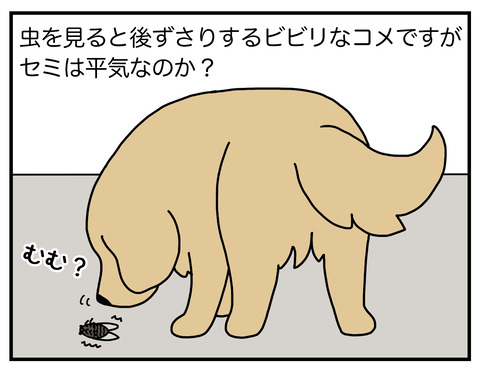 野生の血03