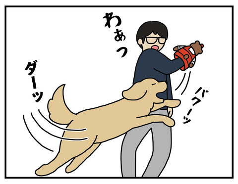 冷静な犬02
