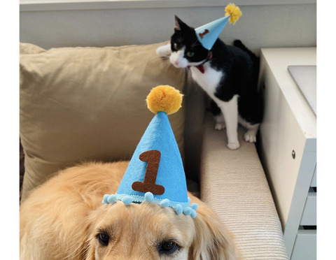 誕生日6