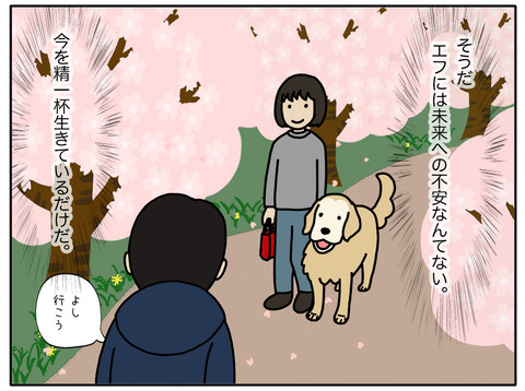 桜と老犬05
