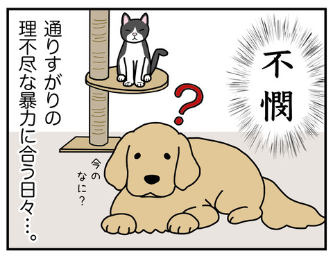 理不尽06