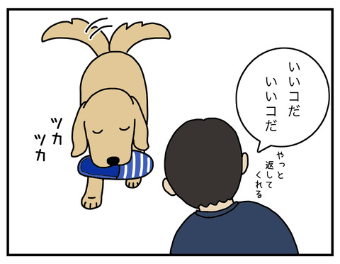 得意げな犬02