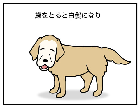 私と同じ02