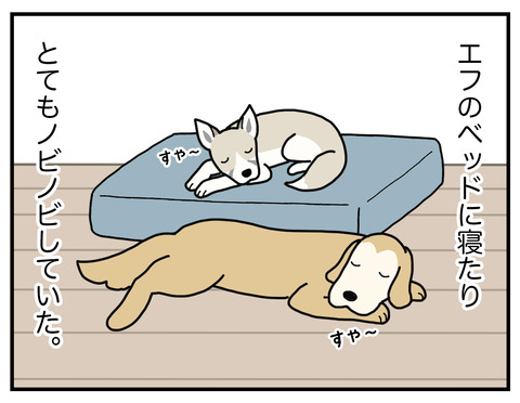 これは一体なに03