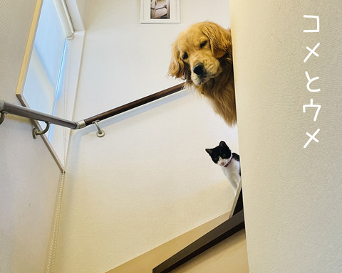 写真04