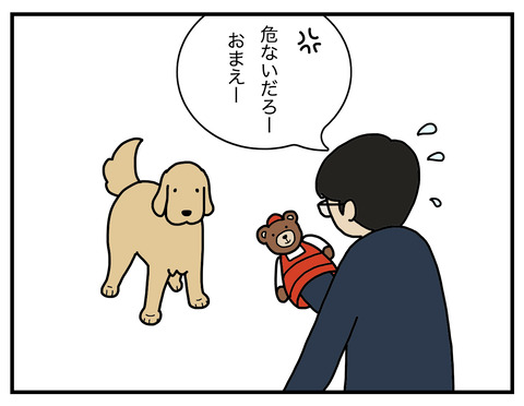 冷静な犬03