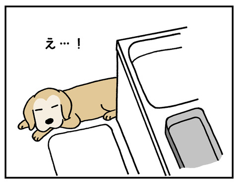 シウマイ05