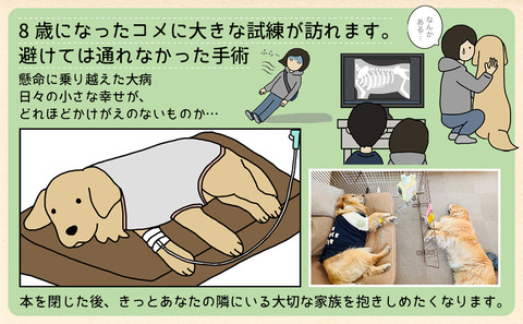 20260902_amazon5