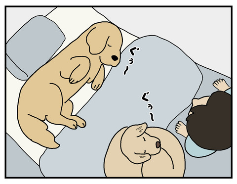 04