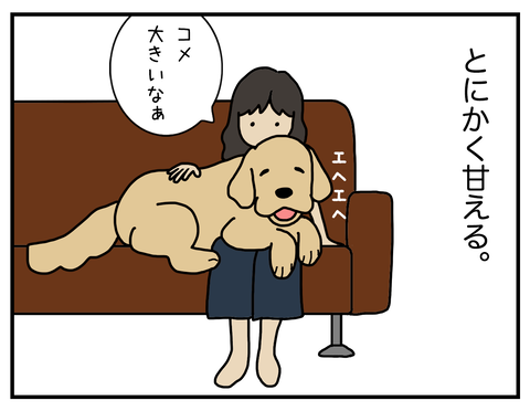 赤ちゃん02