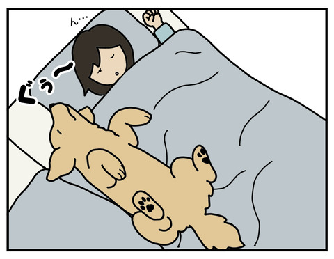 06b
