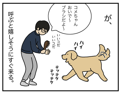 ブラッシング04