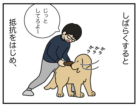 ブラッシング02