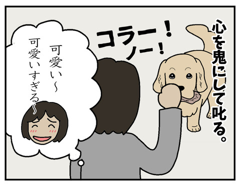 03 のコピー