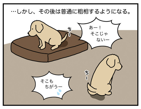 天才コメ06