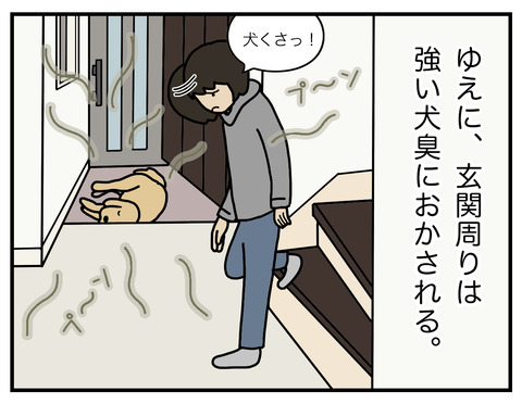 玄関犬臭02
