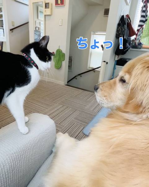 スクリーンショット 2023-07-25 13.24.06