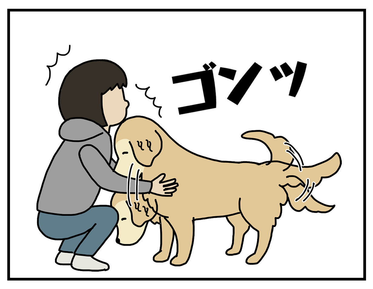 エフ漫画 頭突きか蹴りか リンマンブルース ゴールデンレトリバーの生態とマンガ Powered By ライブドアブログ