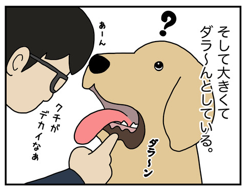 それぞれのゴムパッキン04