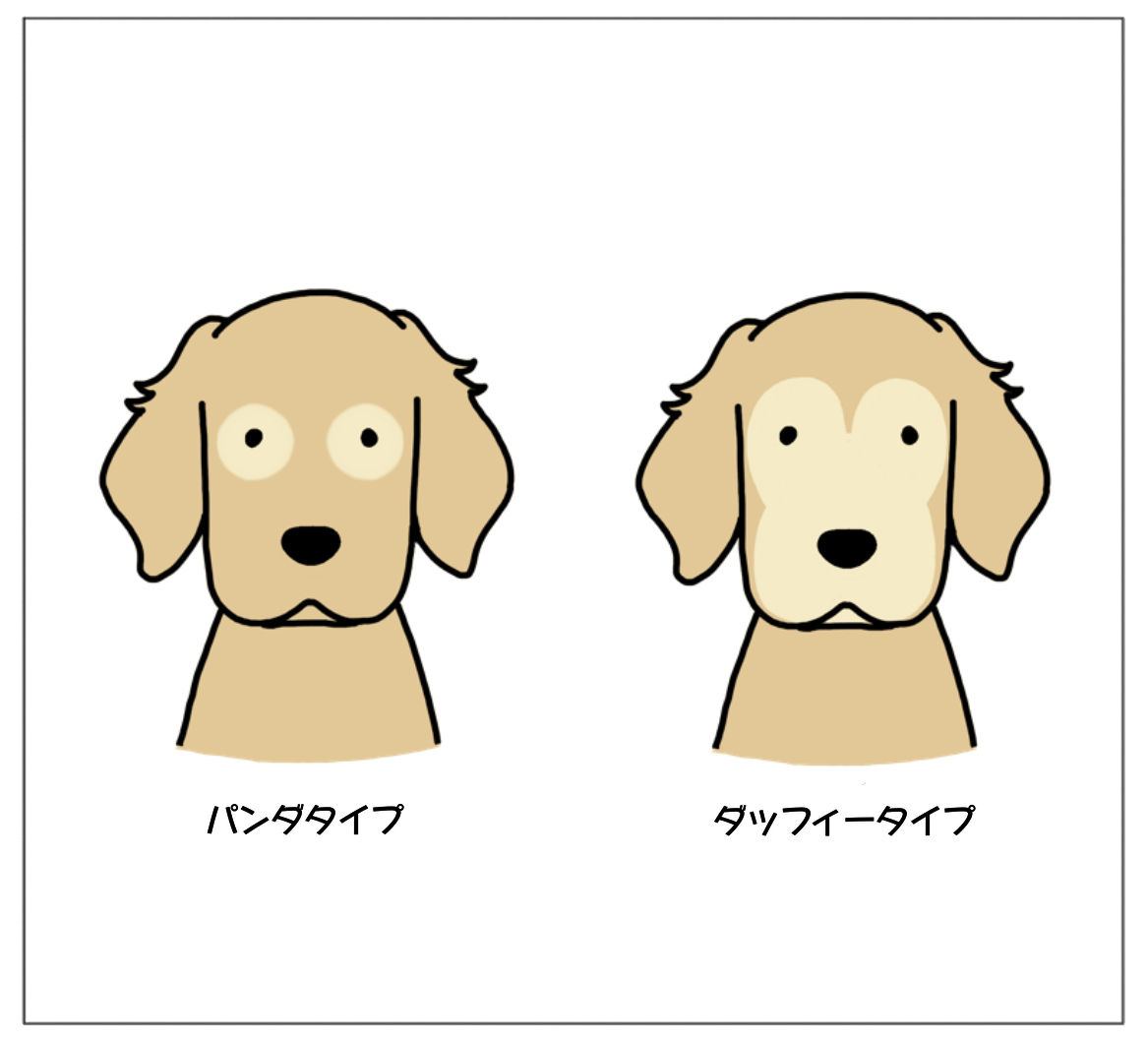 エフ漫画 白髪 リンマンブルース ゴールデンレトリバーの生態とマンガ Powered By ライブドアブログ エフ漫画 白髪 リンマンブルース ゴールデンレトリバーの生態とマンガ Powered By ライブドアブログ