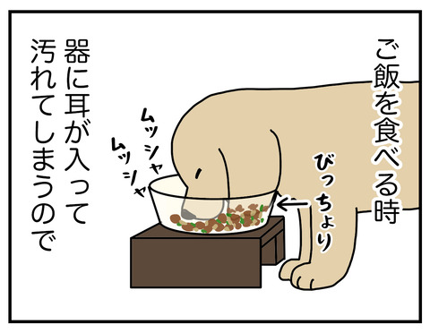 耳の長い犬02