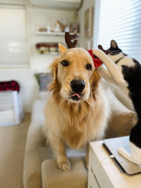 5DCFE47C-D87C-469C-B393-53CE9B60B7C7_1_105_c