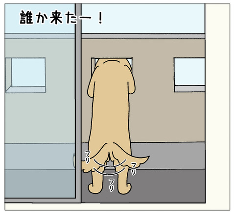 おもちゃ落とす02