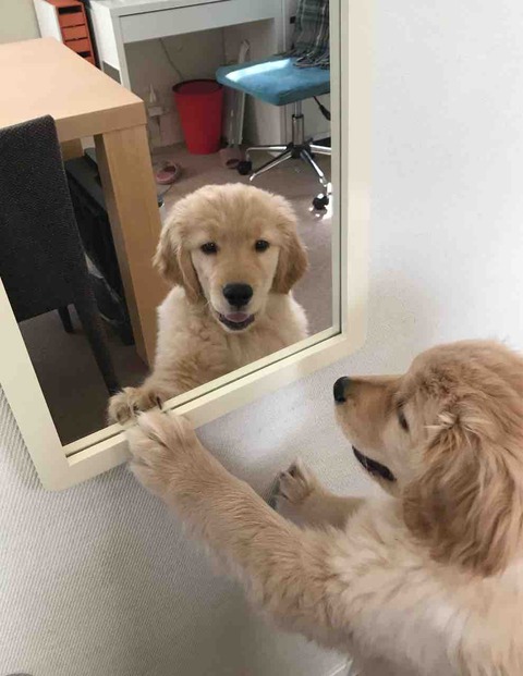 FullSizeRender