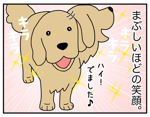 キラキラ05