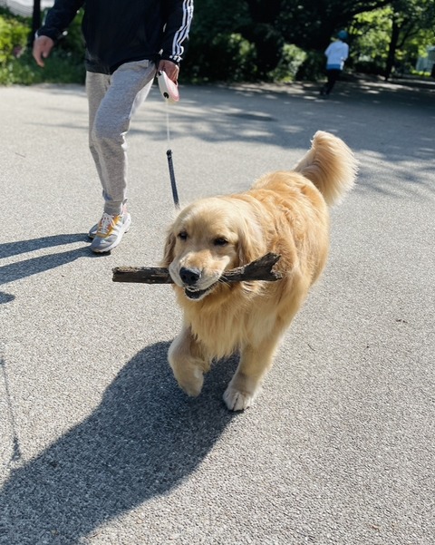 BB56848D-2073-48A1-8668-E13B25310D49_1_105_c