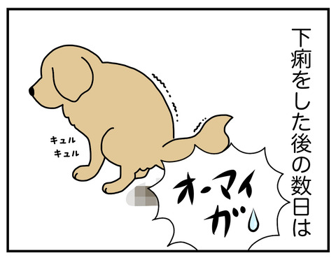 全米が泣いた01