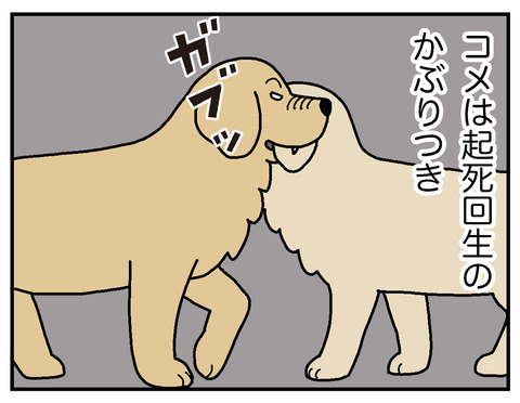 04a