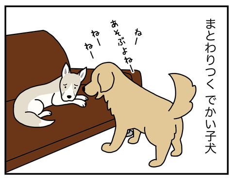 これは一体なに05
