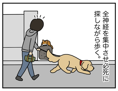 野生の本能04