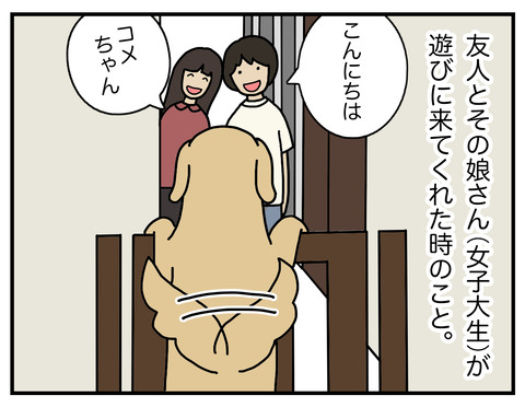 あからさまな犬02
