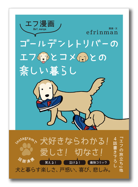 カバー表影付き