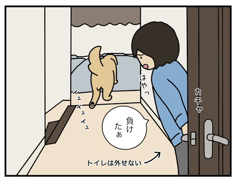 奪い合い05