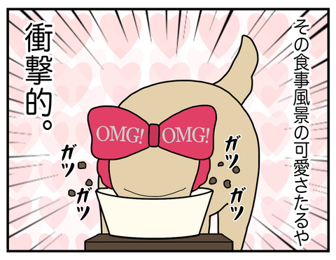 耳の長い犬07