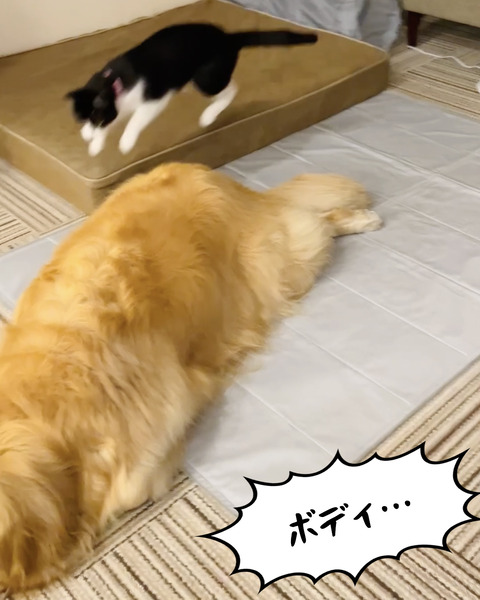 スクリーンショット 2025-07-29 14.09.00 のコピー