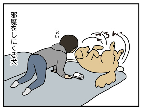 敗北のコロコロ02