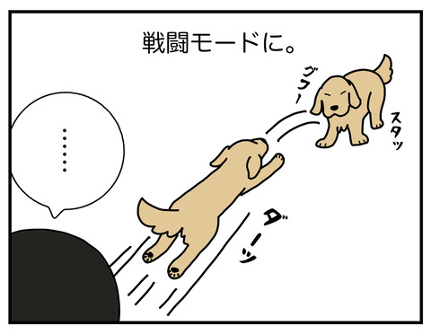 ブラッシング03