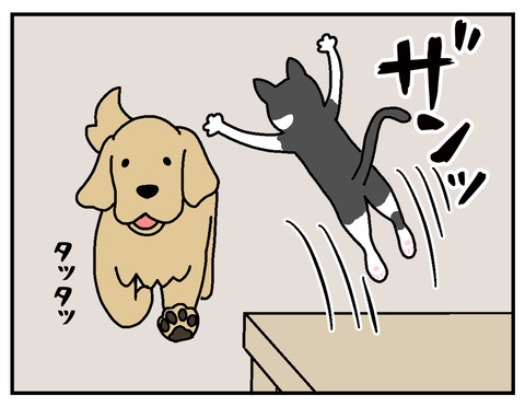 07