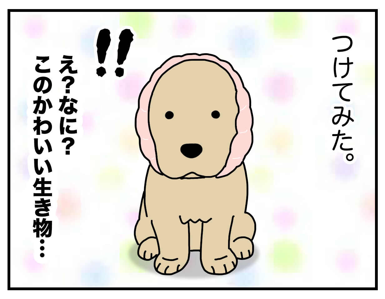 エフ漫画 耳の長い犬 リンマンブルース ゴールデンレトリバーの生態とマンガ Powered By ライブドアブログ エフ漫画 耳の長い犬 リンマンブルース ゴールデンレトリバーの生態とマンガ Powered By ライブドアブログ
