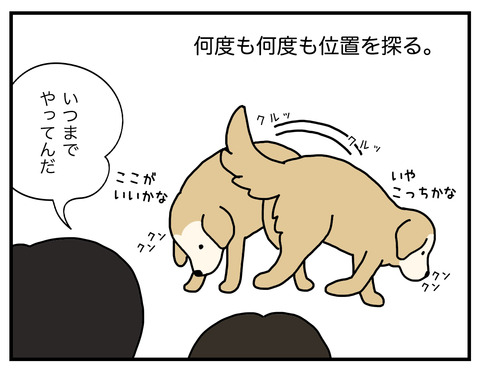 うんこそれぞれ02