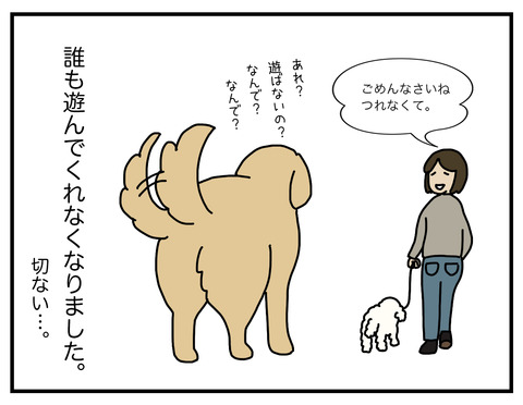 なんで遊んでくれないの04