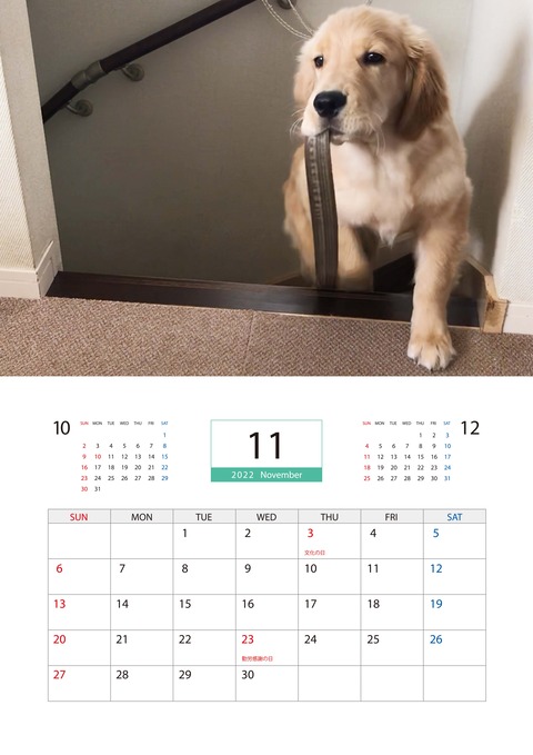 11 のコピー