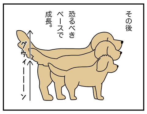 なんで遊んでくれないの02