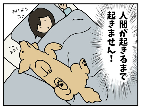 07