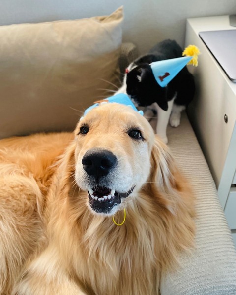 22E5DC4D-1281-4131-B731-104717FF6CCE