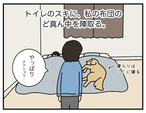 奪い合い03